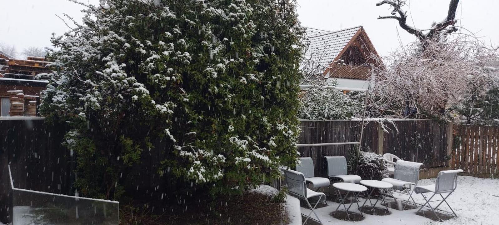 Villa Scs Naehe Wiener Neudorf Exteriör bild
