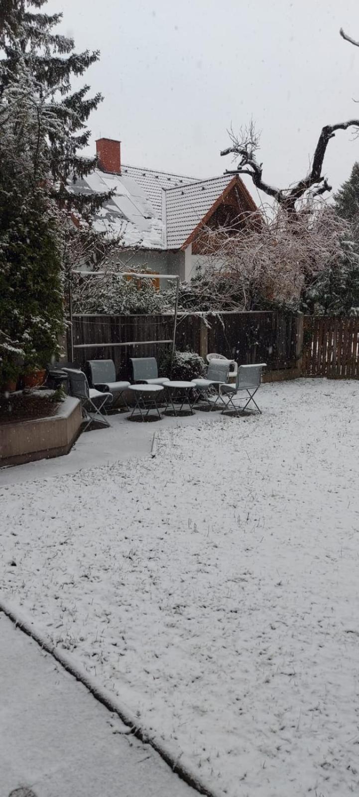 Villa Scs Naehe Wiener Neudorf Exteriör bild